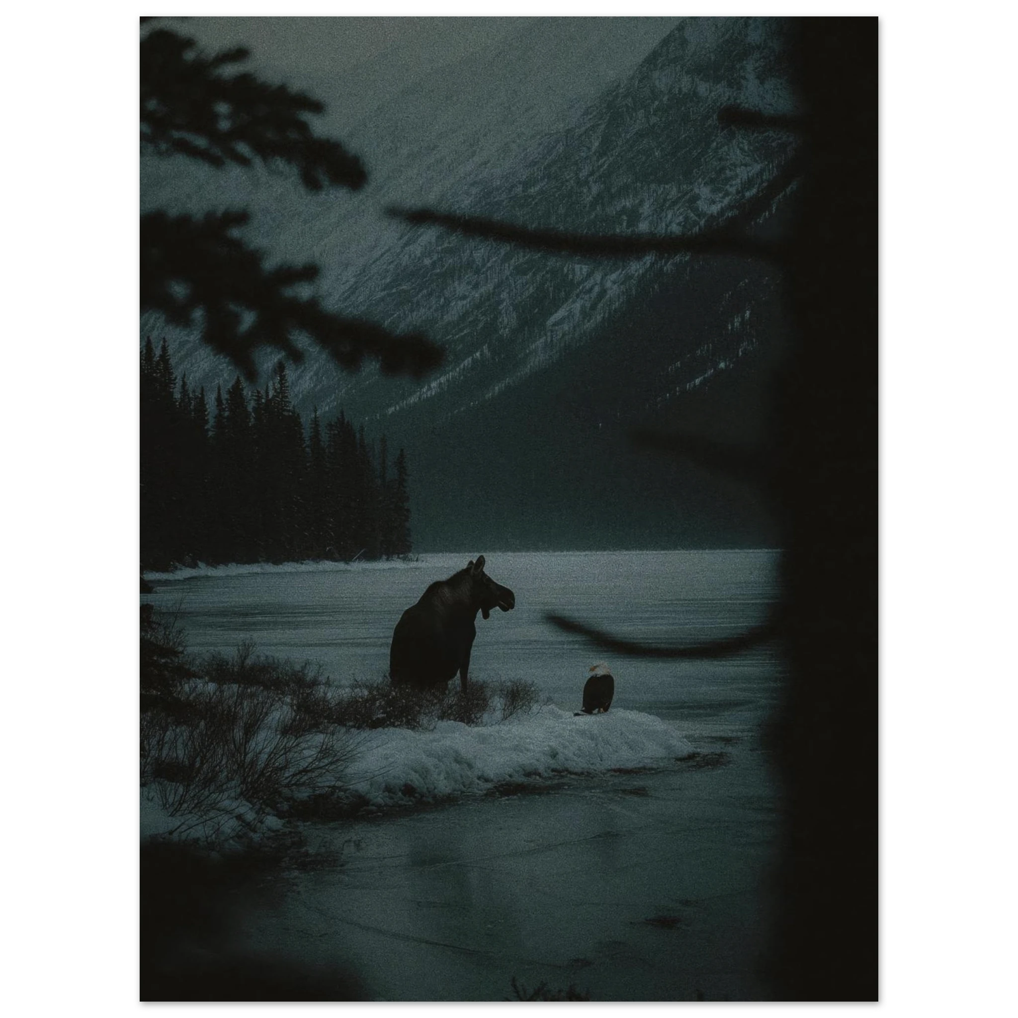 23eb15f5-c558-43dc-99d3-20a1028e51bc