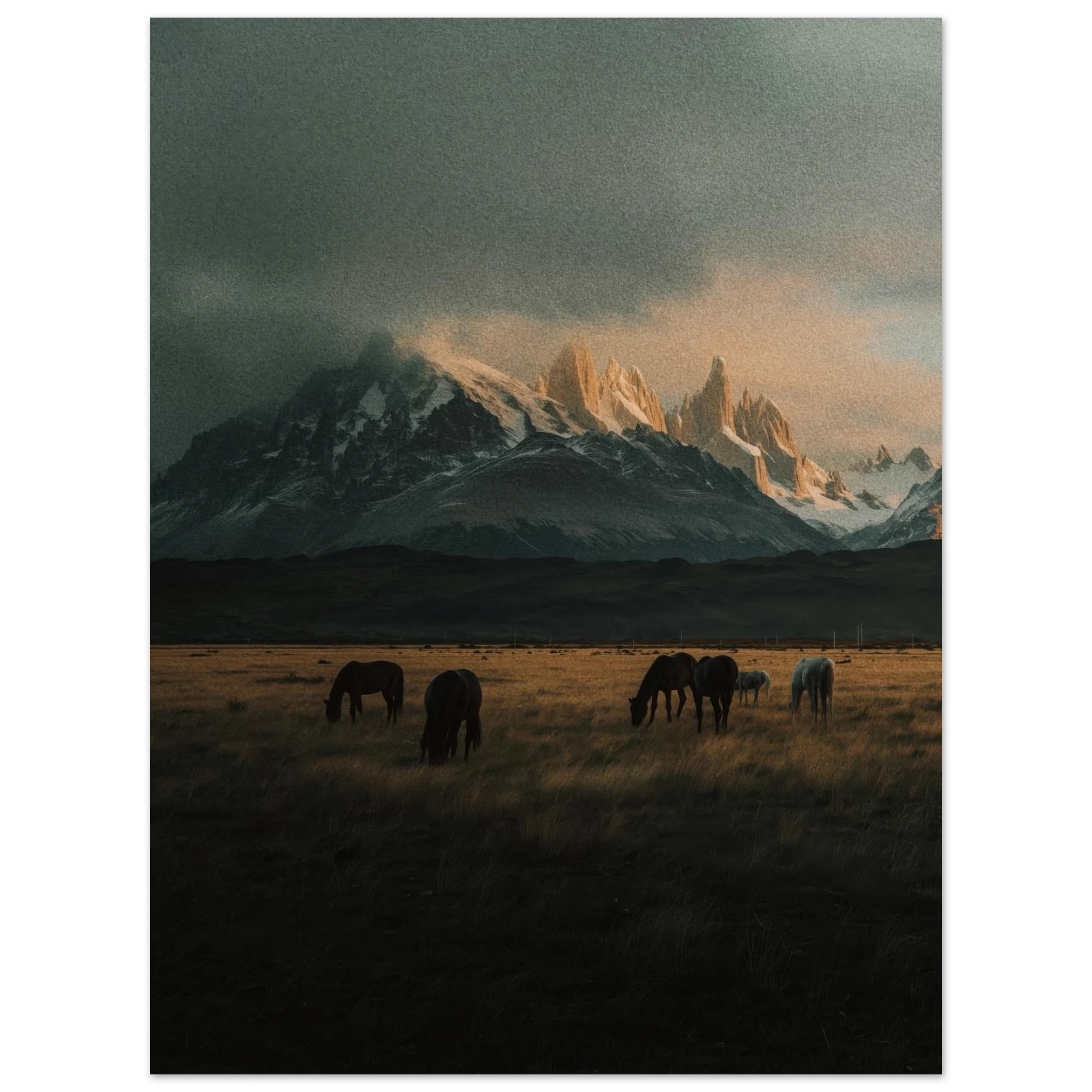 2c425ea5-0b0c-4776-90b4-c8de0ce3329c