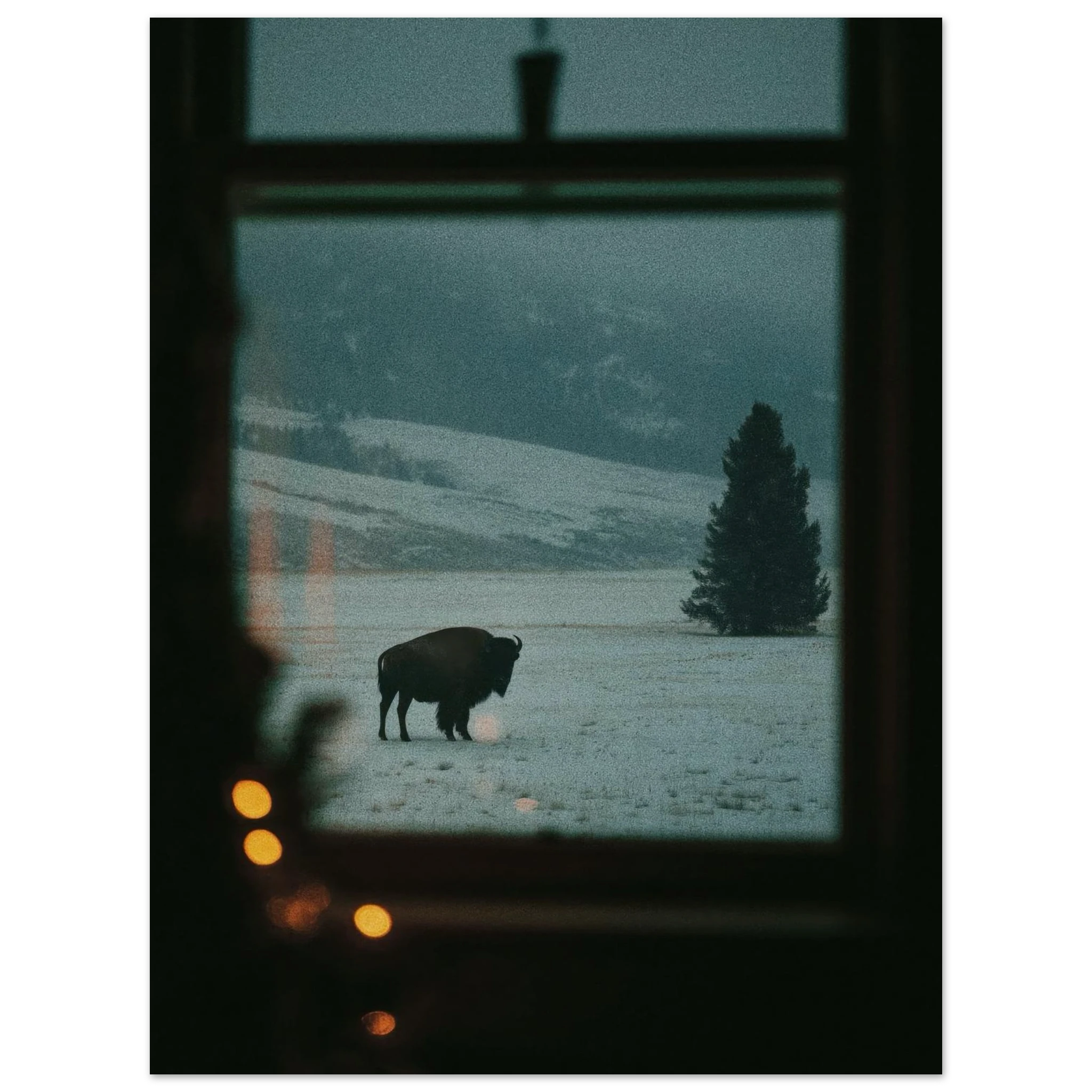 cc5ccc04-aed4-4980-a090-911f2d845dfb