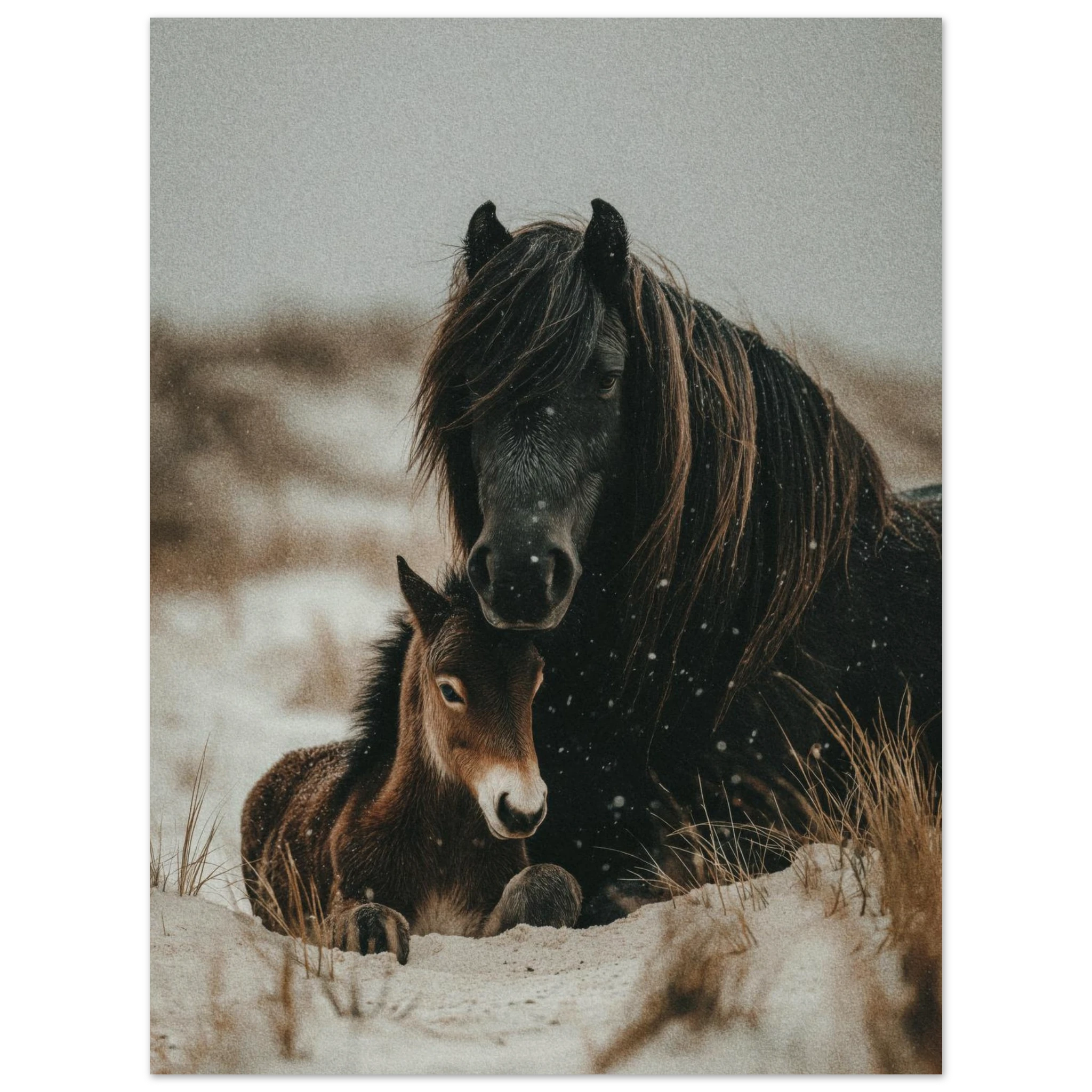 fbb6ea0d-1ed8-43e2-b89c-21b4d32ab3fd