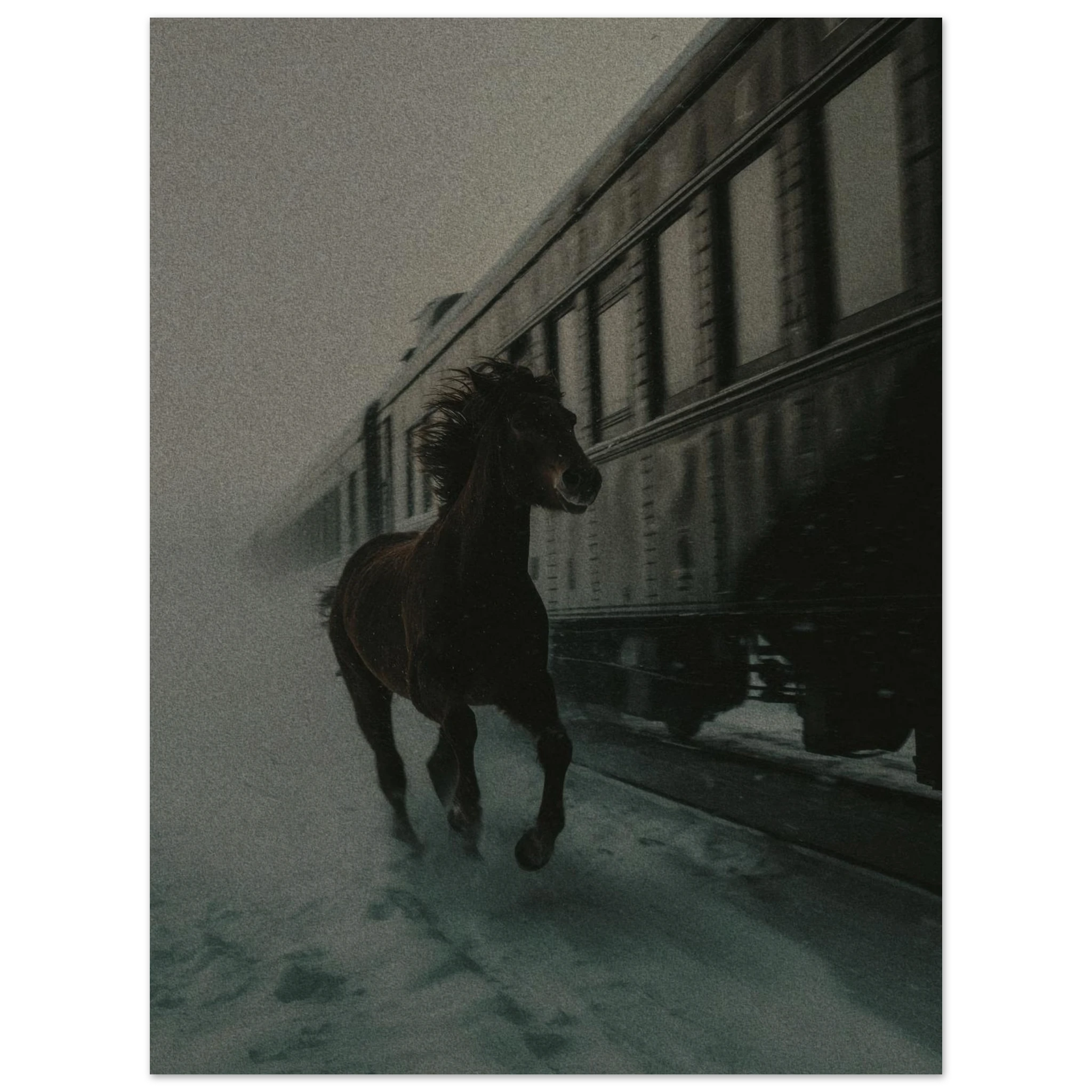 ff62d5c7-d2f3-4bbe-9a98-b65a493f2cb4